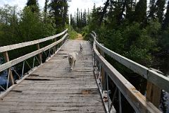 35A There Is A Nature Walk At The Arctic Chalet in Inuvik Northwest Territories.jpg